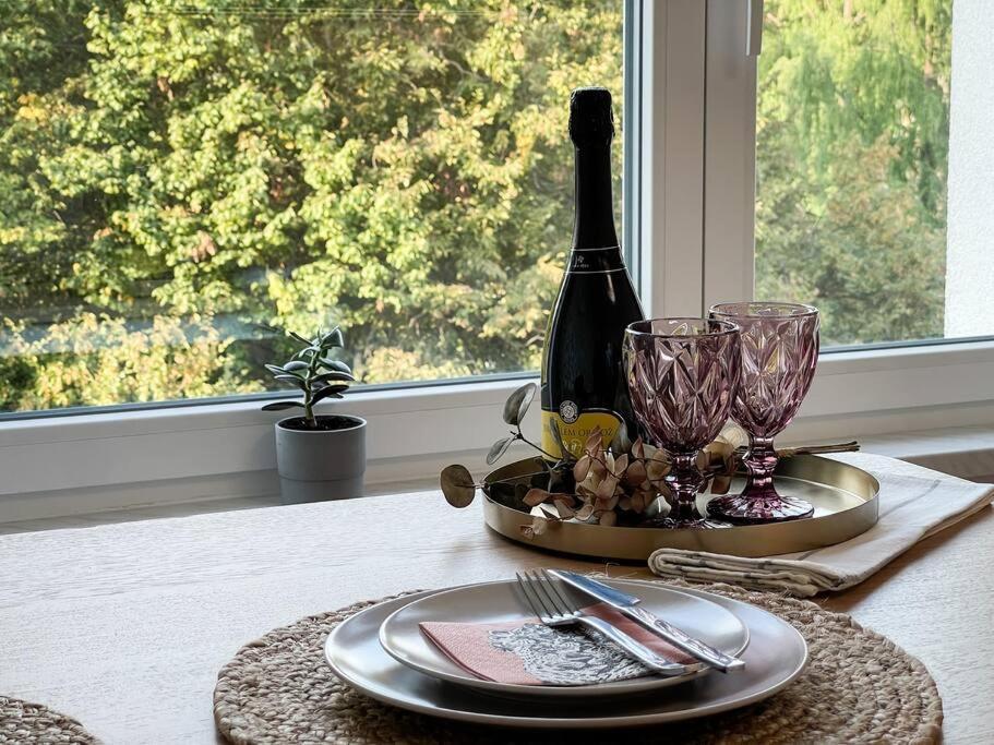 Studio With A View On City Center Park Maribor Ngoại thất bức ảnh